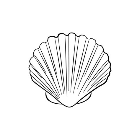 Sea Shell Scallop Vector Sketch Illustration Seashell Outline Icon