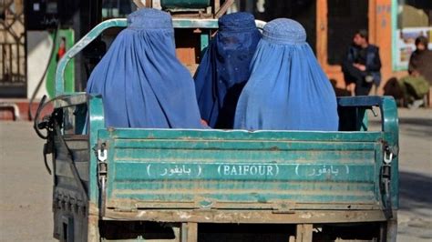 아프가니스탄 탈레반 여성 교육 금지에 맞서 싸우는 사람들 Bbc News 코리아