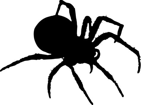 Spider Silhouette Halloween Free Vector Graphic On Pixabay