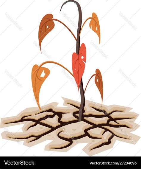 Dying Plant Or Tree Among Dry Cracked Land Vector Image