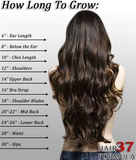 21 Incredibly Useful Hair Charts That Will Easily Change Your Life