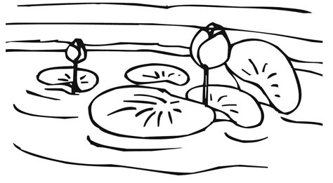 Lily Pad Flower Coloring Pages - Coloring Home