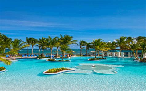 Caribbean Tropical Beaches Resorts Palm Trees Trees Blue Ocean Sandy ...