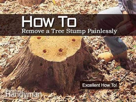 How To Remove A Tree Stump Painlessly