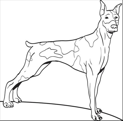 Discover all our fun free coloring pages of dogs ! Coloring Pages Fluffy Dogs - Coloring Home