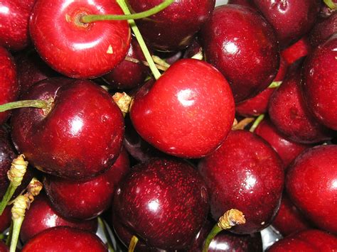 Cherries Free Photo Download Freeimages