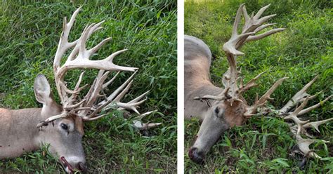 Incredible 57 Point Whitetail Buck Shot In Kentucky Field And Stream