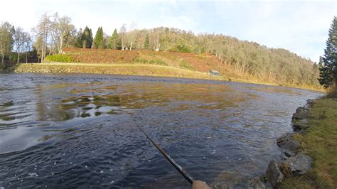 Dee And Don Salmon Fishing River Tay Opening Day 2017
