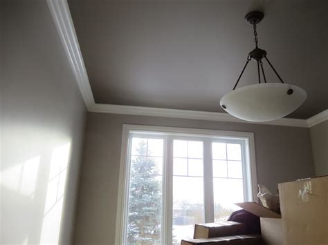 Grey Ceiling Grey Ceiling Home Home Decor