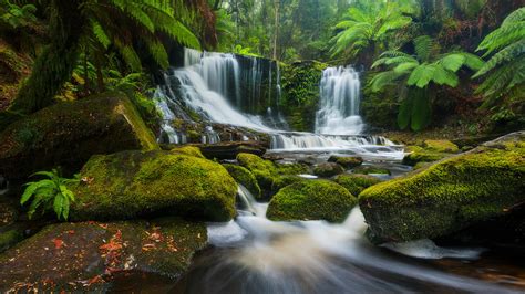 Waterfalls In A Rainforest Tropical Desktop