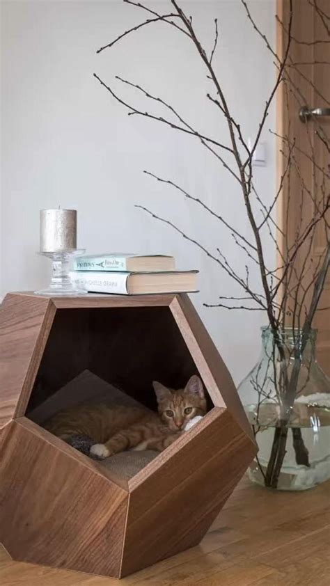 Catify Your Home Ideas💭 Cat Room Pet Furniture Cat Bed