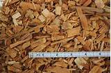 Photos of Playground Wood Chips