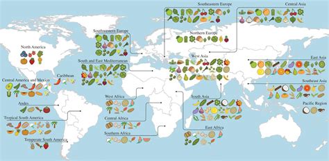 Thank them for a long time spread through the world. A Map Of Where Your Food Originated May Surprise You | Bay ...