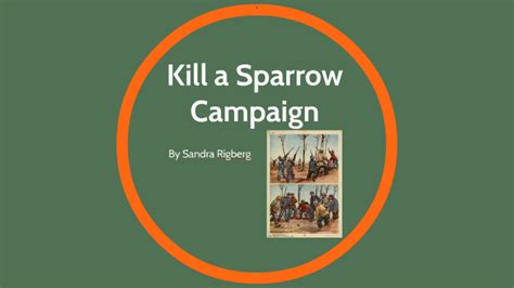 Kill A Sparrow Campaign By Sandra Rigberg