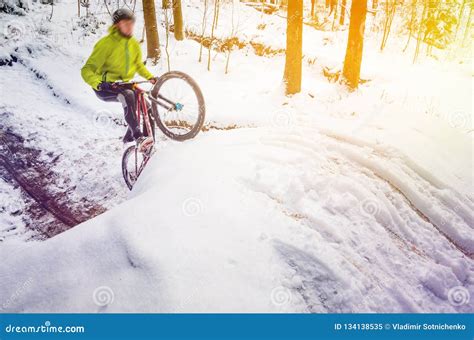 Mountain Biking In Snowy Forest Editorial Image Image Of Helmet Hung