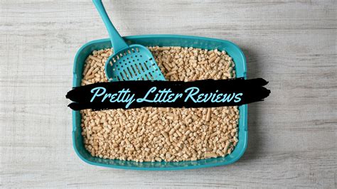 Pretty Litter Reviews A Good Way To Know About Your Cats Health