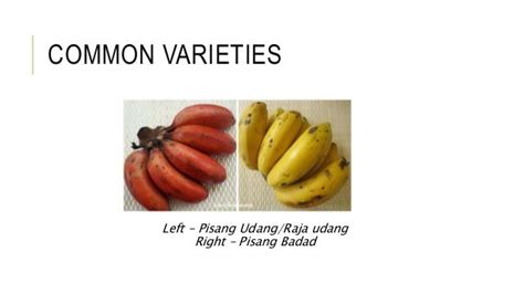Banana Varieties In Malaysia