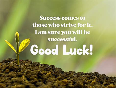 Success Wishes Best Wishes And Messages For Success