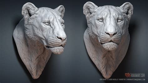 Lioness Sculpture Bust 3d Model On Behance