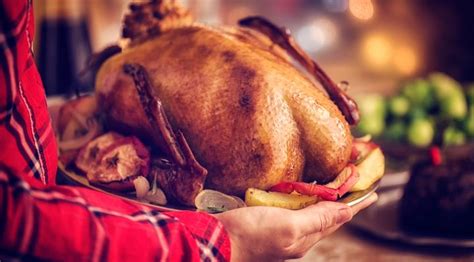 how to cook a turkey and other thanksgiving questions answered huffpost life