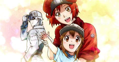 Anime Cells At Work Tendrá Segunda Temporada En 2021 La Verdad Noticias