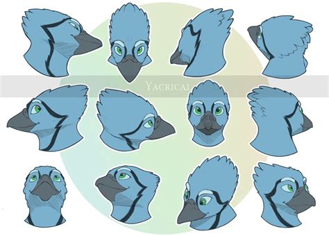 Tips On Drawing Avians R Feathery