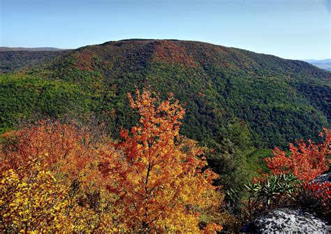 Wheres The Best Place For Fall Foliage This Weekend West Virginia