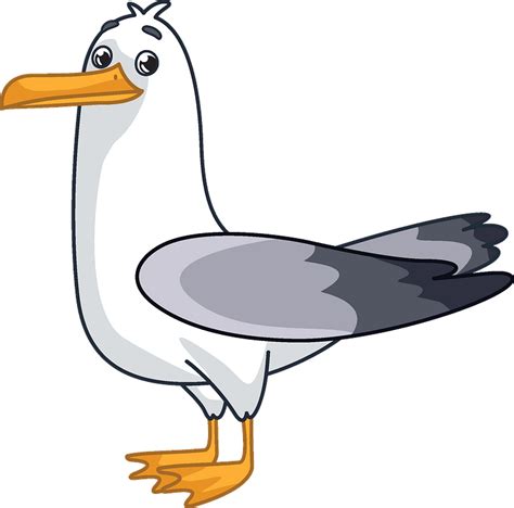 Seagull Clipart Cartoon Png Download Full Size Clipart 5250728