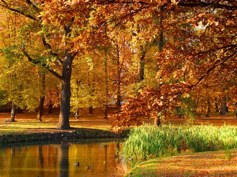 Golden Polish Autumn 2 By Luin Tinuviel On Deviantart