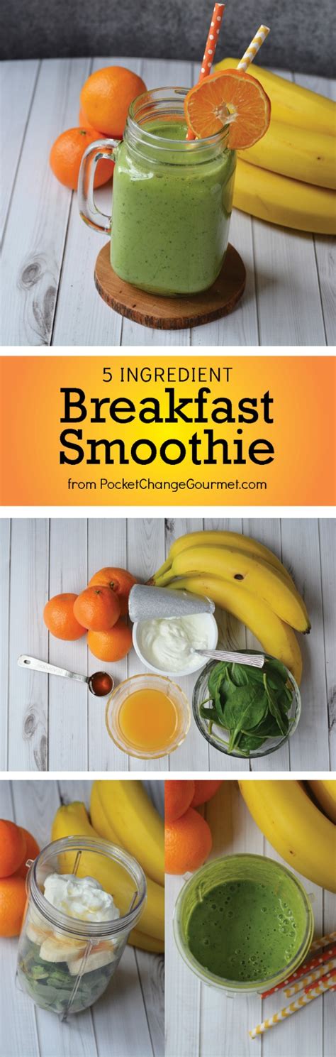 Healthy Smoothies for Breakfast Recipe | Pocket Change Gourmet