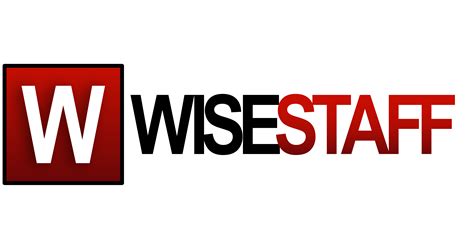 Wisestaff LLC - CNA Certified Nursing Assistant - Government Contract