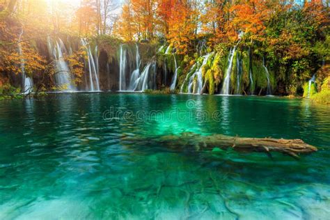 Waterfall In Autumn Forest Stock Image Image Of Flowing 18310071