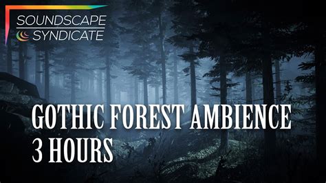 Gothic Forest Ambience Soundscape With Gentle Rain White Noise And