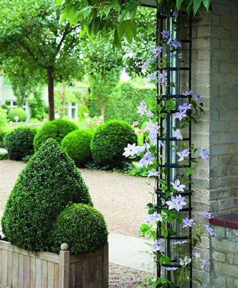 7 Awesome Diy Garden Trellis Projects For Your Home