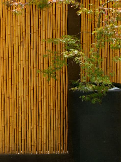 Clôture En Bambou Pour Une Touche Orientale Dans Le Jardin