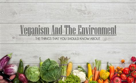 Veganism And The Environment The Things That You Should Know About