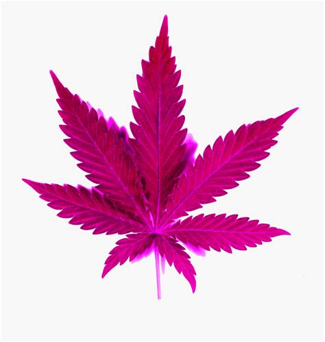 Weed Clipart Image 10 Free Cliparts Download Images On Clipground 2023
