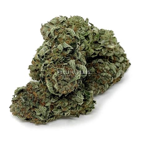 Pre Rolled Pink Kush Buy Online At Pacific Grass