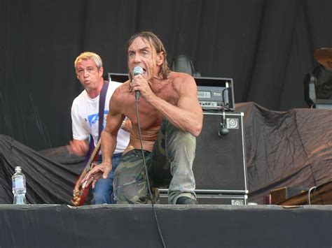 Iggy Pop The Godfather Of Punk Deadcell Nl