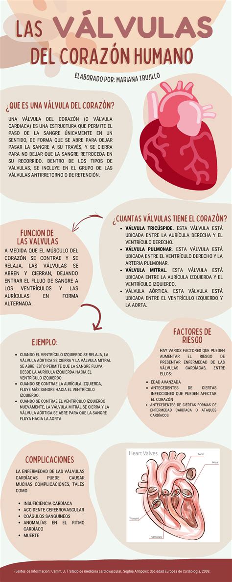 Valvulas Del Corazon Infografia Complicaciones Complicaciones Del