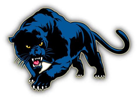 Angry Black Panther Car Bumper Sticker Decal 275 Picclick