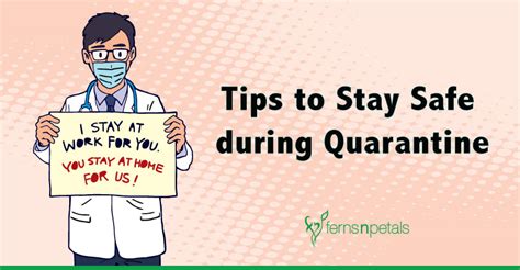 10 Tips To Stay Safe During Quarantine Ferns N Petals