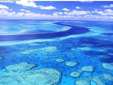 4k Wallpaper Tropic Australia Beach Great Reef Great Barrier Reef