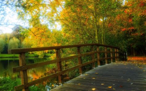 Hdr Scenery Park Leaves Trees Forest Autumn Wood Bridge Wallpaper