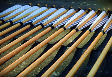 Traditional Archery Wooden Arrow Shafts Stock Image Image Of Fletch