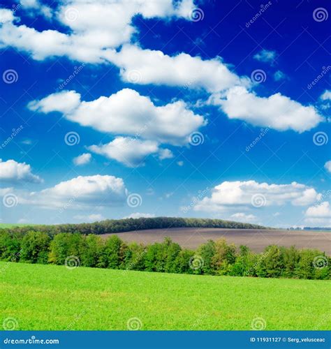 Meadow Stock Image Image Of Field Cloudscape Meadow 11931127