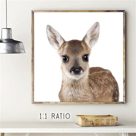 Baby Deer Print Dear Print Dear Art Fawn Wall Art Baby Etsy