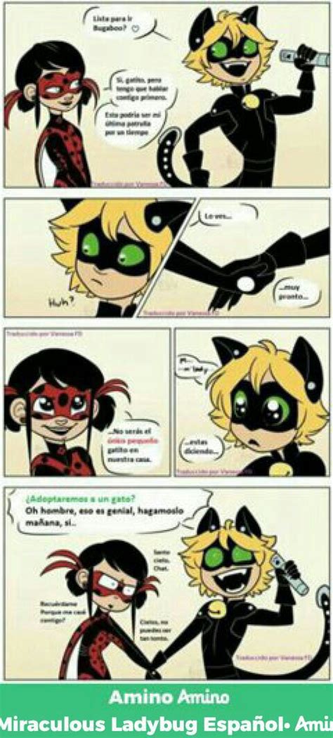 Comic Ladynoir🐞🐱 •miraculous Ladybug Español• Amino