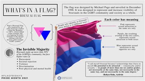 Bisexual Flag Rbisexual