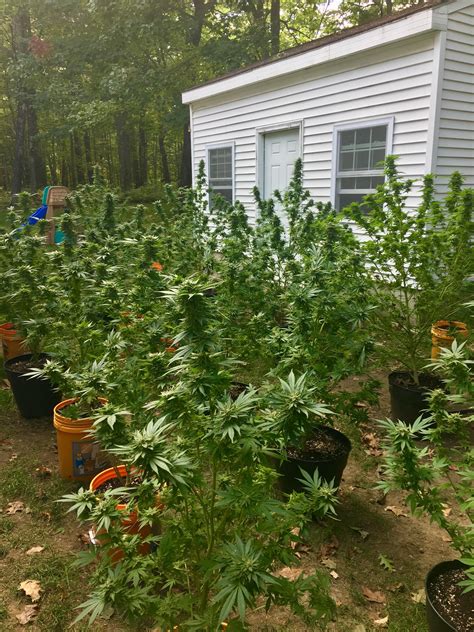 Mobile Mechanic Eugene Oregonreddit Microgrowery